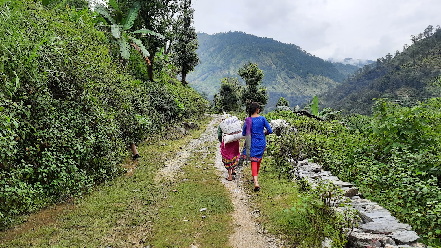 Lantana Grass to Livelihood: Tribal Communities Turn Forest Threat into Employment Opportunity | Sustainable Rural Innovation
